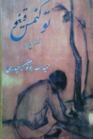 توکنمس قیغو